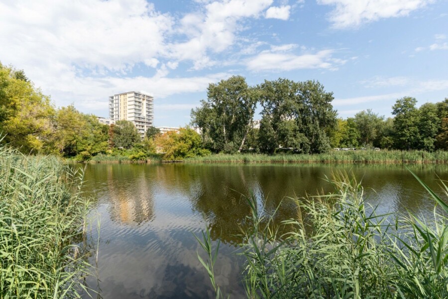Warszawa, Mokotów Służewiec, Bokserska, Widok na teren Wyścigów Konnych