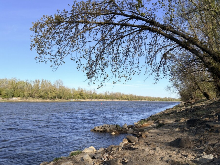 Warszawa, Wilanów, Bruzdowa, Klimatyczne z dużym balkonem, zielona okolica