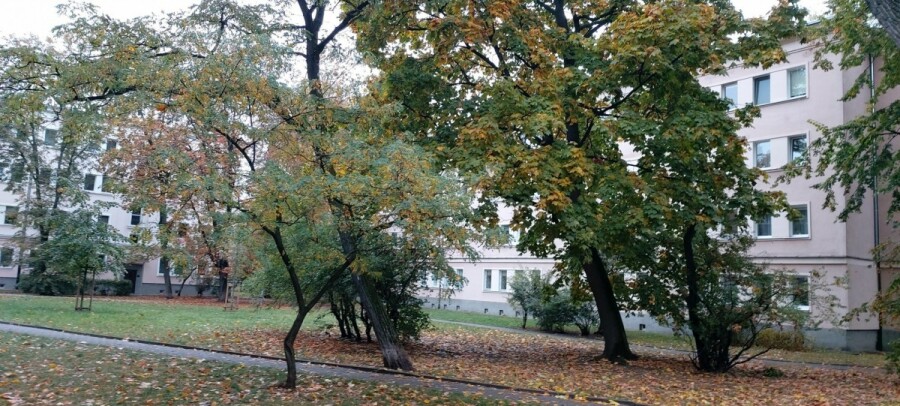 Warszawa, Praga, Władysława Skoczylasa, Rozkładowe, ciche 3 pokojowe przy Placu Hallera