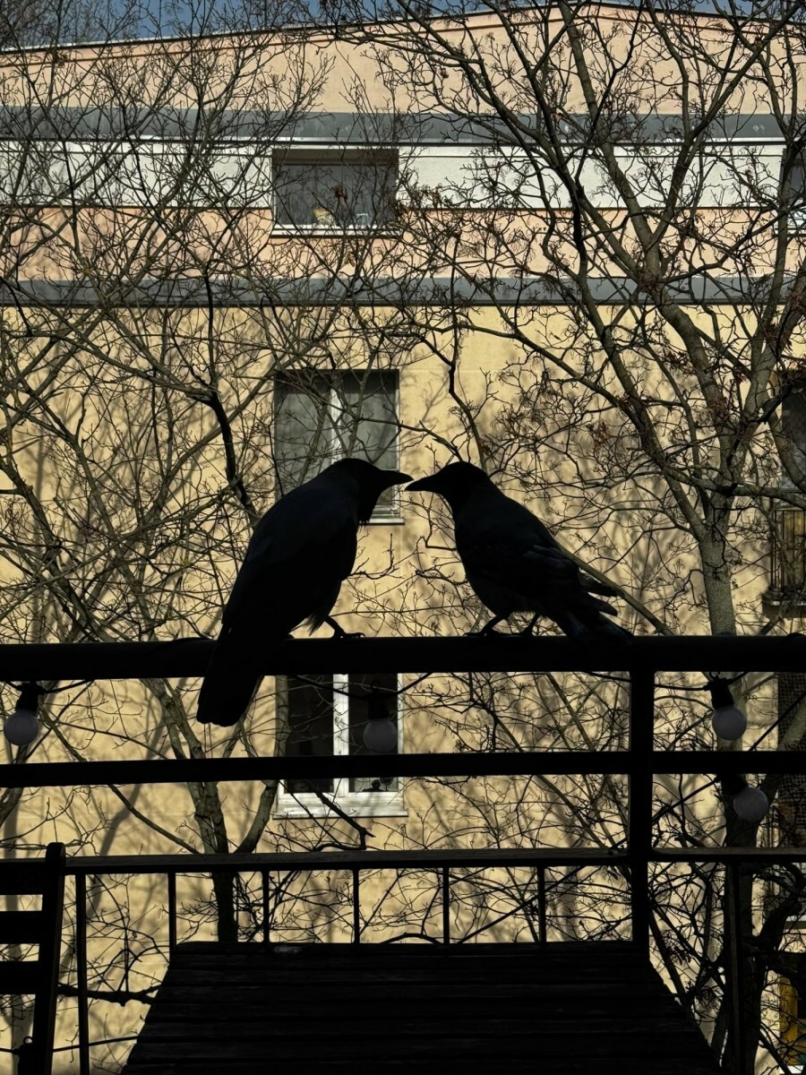 Warszawa, Praga-Południe Saska Kępa, Międzynarodowa, Saska Kępa | 3 pokoje | widok na zieleń | taras