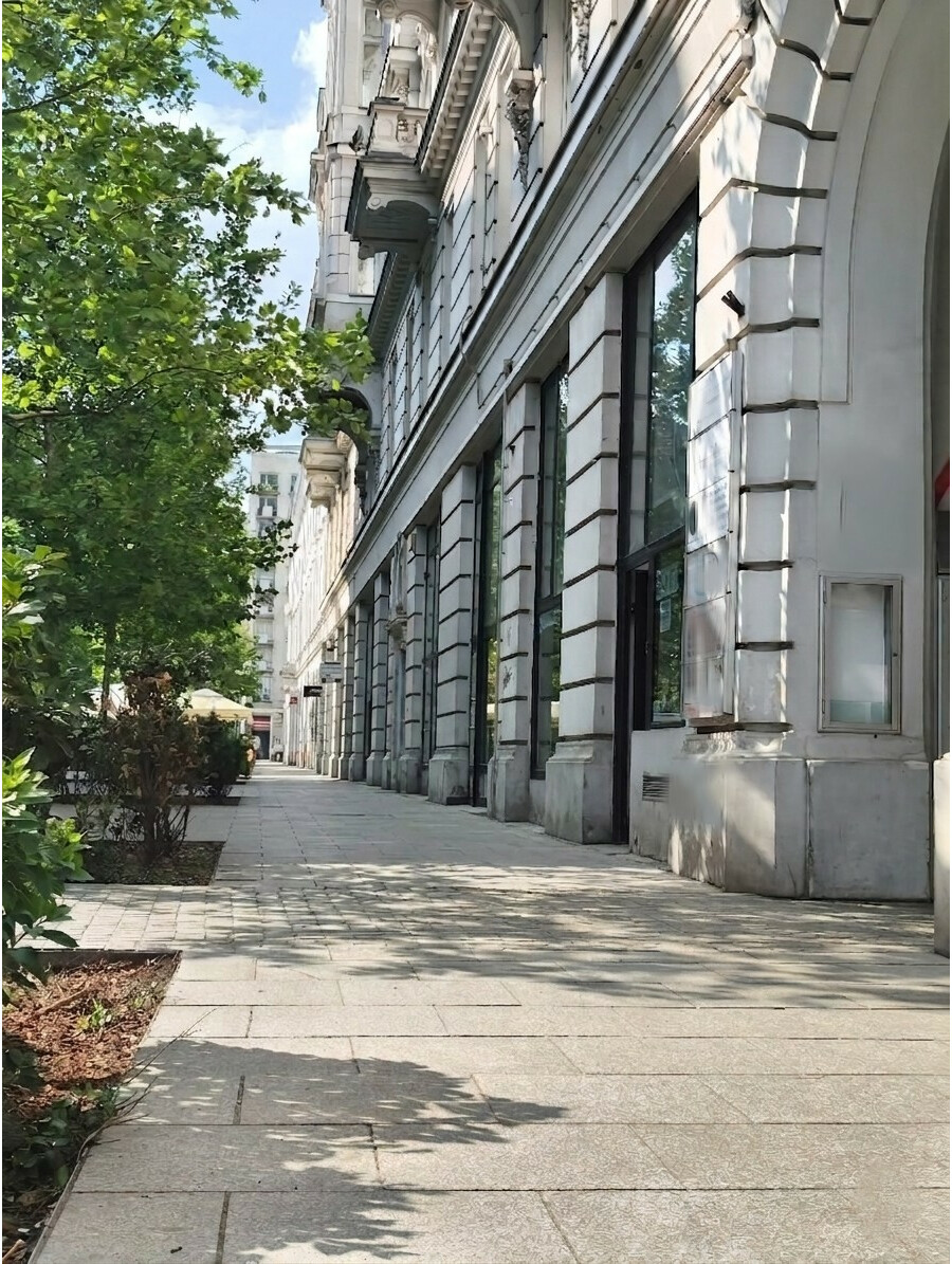 Warszawa, Śródmieście, Bracka, Bracka 18, lokal -czynsz jedyne TYSIĄC zł. m-c.
