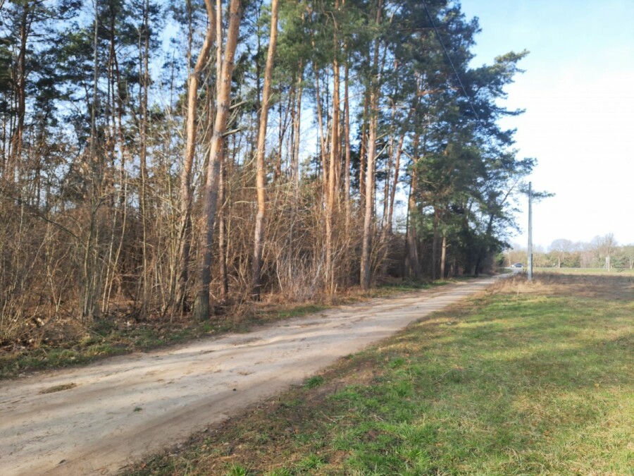 Zawiszyn, Owsianka, Mińska, DZIAŁKA MIESZKANIOWO - USŁUGOWA