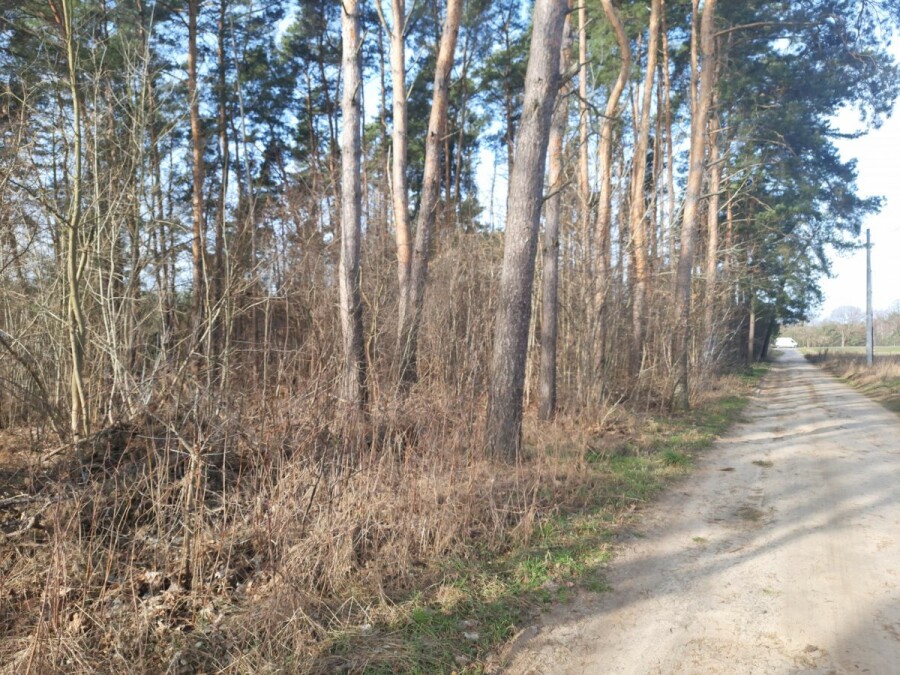 Zawiszyn, Owsianka, Mińska, DZIAŁKA MIESZKANIOWO - USŁUGOWA