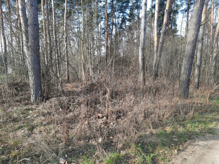 Zawiszyn, Owsianka, Mińska, DZIAŁKA MIESZKANIOWO - USŁUGOWA