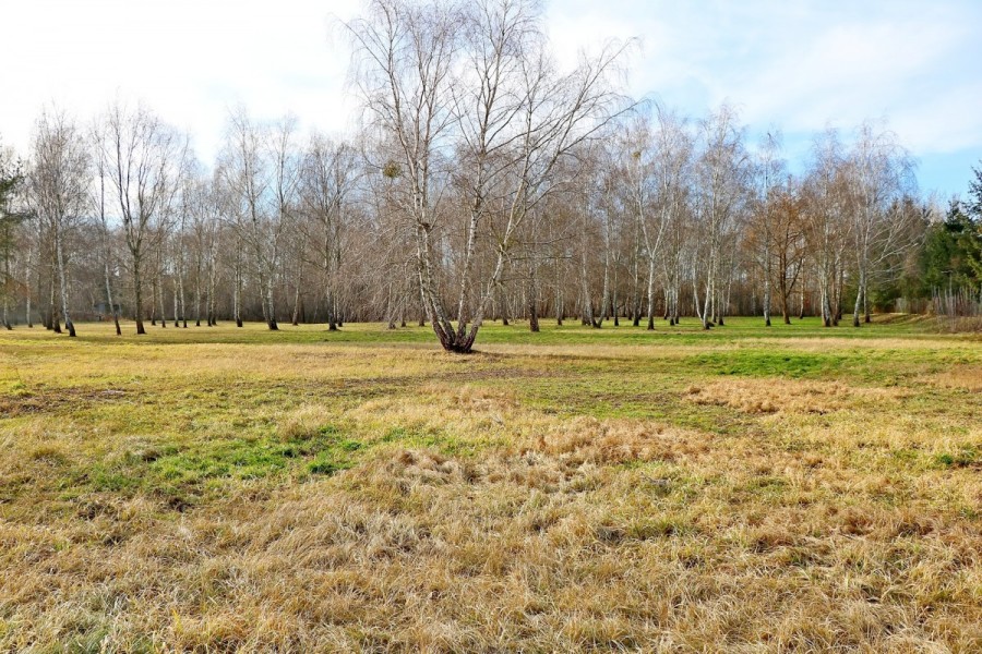 Warszawa, Ursynów, Hołubcowa, Działka o pow.1,22 ha objęta MPZP