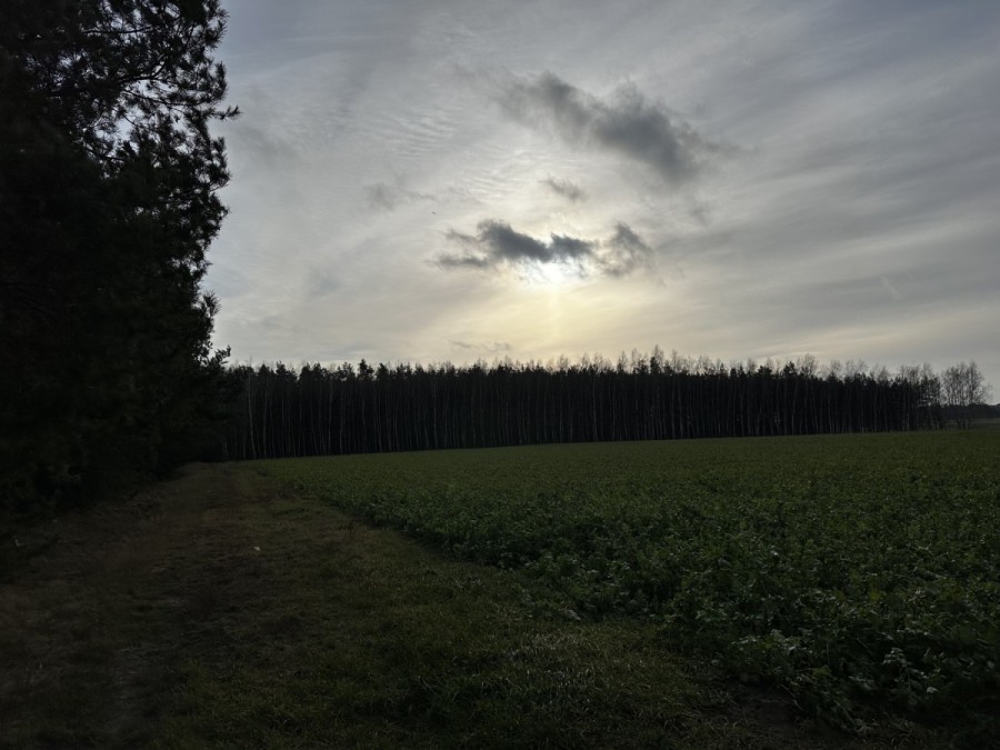 powiat nowodworski, Borkowo, Polna, Piękna działka w Borkowie przy ul. Polnej