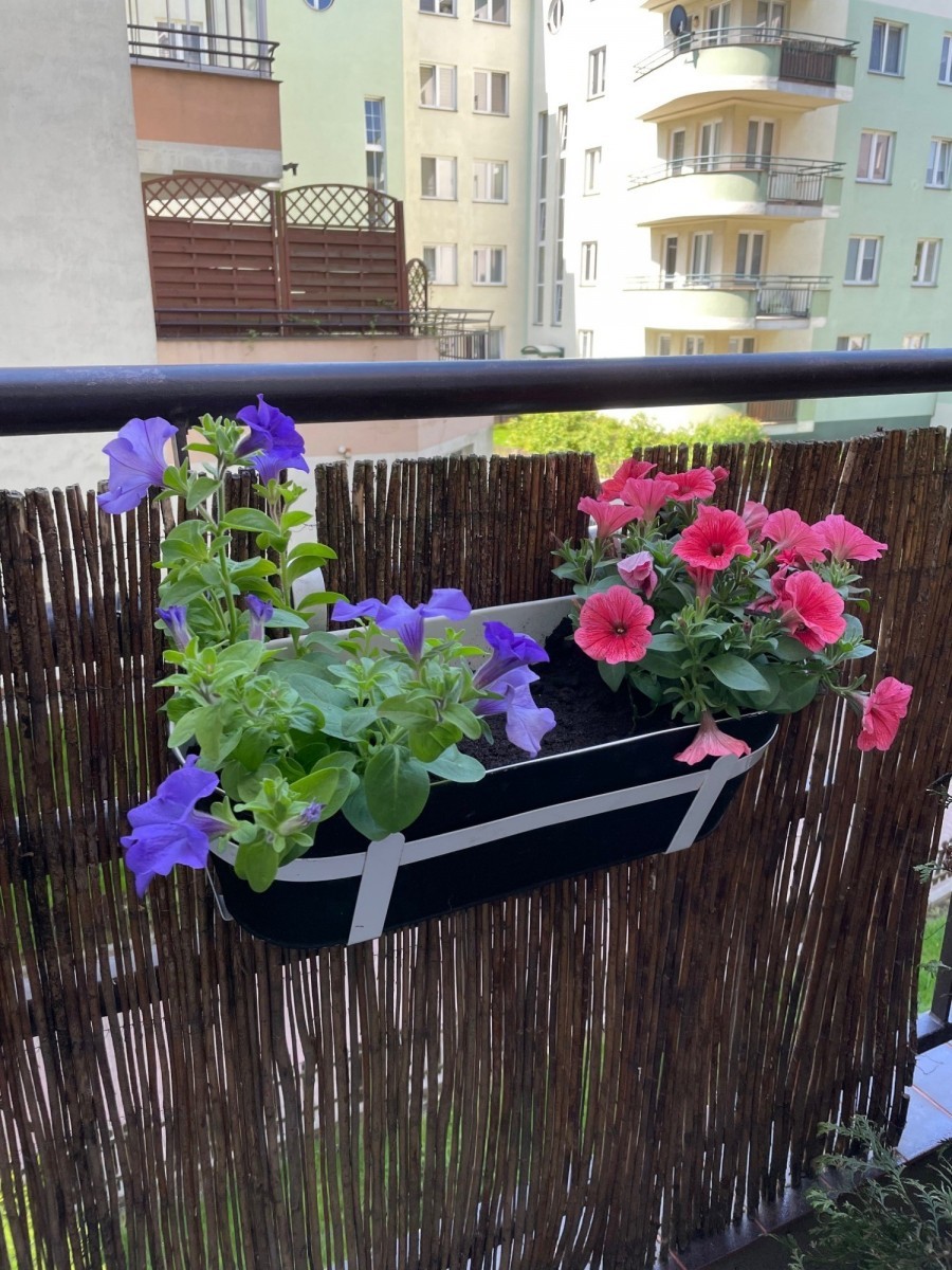 Warszawa, Bemowo, Lazurowa, 2 pokoje-38m2 | z dużym tarasem 19m,Bemowo