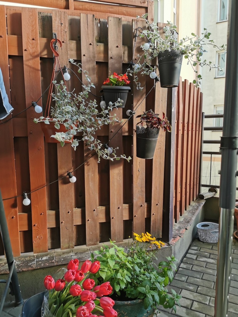 Warszawa, Bemowo, Lazurowa, 2 pokoje-38m2 | z dużym tarasem 19m,Bemowo