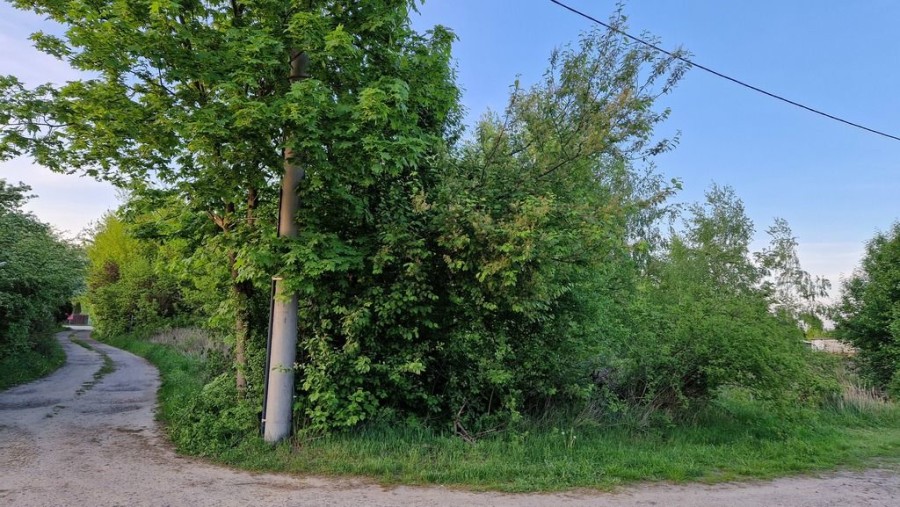 powiat nowodworski, Dębina, Pańska, Działka 1604m2 Dębina Czosnów 30 min od Warszawy