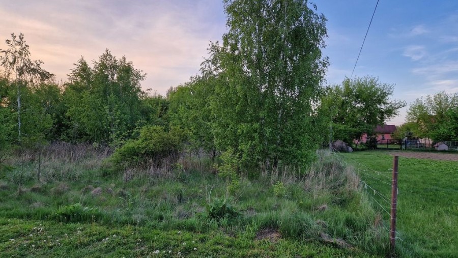 powiat nowodworski, Dębina, Pańska, Działka 1604m2 Dębina Czosnów 30 min od Warszawy