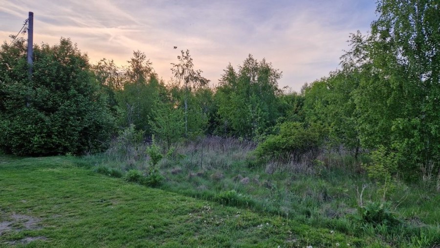 powiat nowodworski, Dębina, Pańska, Działka 1604m2 Dębina Czosnów 30 min od Warszawy