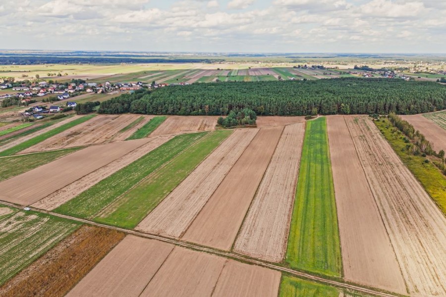 powiat wołomiński, Emilianów, Sprawdź>>> Działka inwestycyjna pod Radzyminem