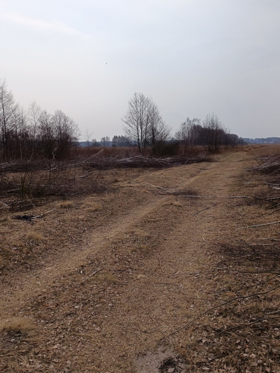 powiat wołomiński, Karolew, Działka pod farmę fotowoltaiczną, inwestycyjne.