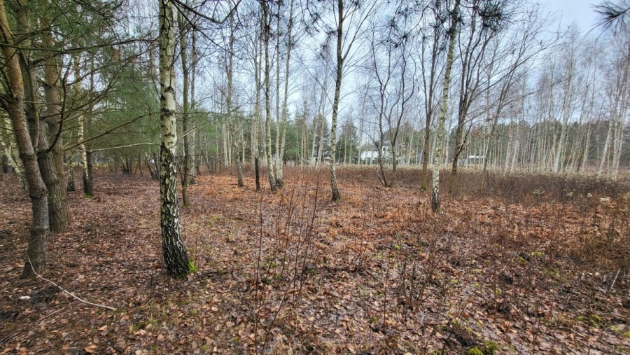Warszawa, Wawer Aleksandrów Trzeci, Podkowy, Warunki zabudowy