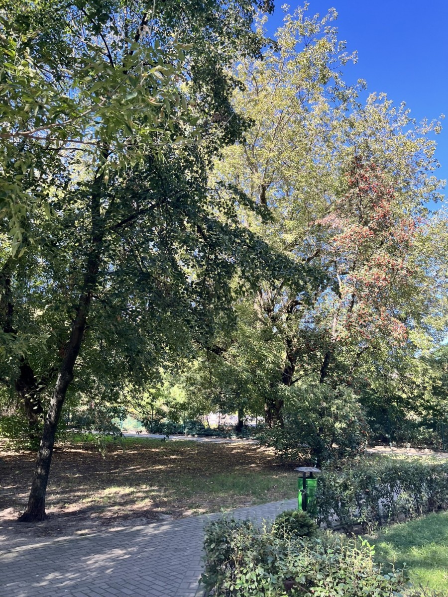 Warszawa, Żoliborz, Włodzimierza Perzyńskiego, Bielany 53m2 3pokoje
