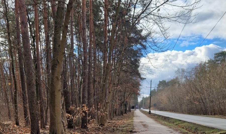 Łomianki, Dąbrowa Leśna, Działka budowlana w Łomiankach. Otulinia Kampinosu