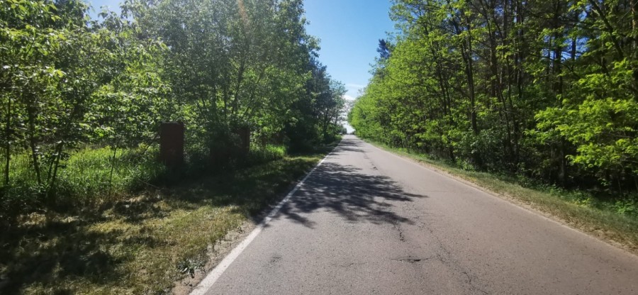 powiat wołomiński, Dąbrówka, Działka budowlana w lesie - Dąbrówka