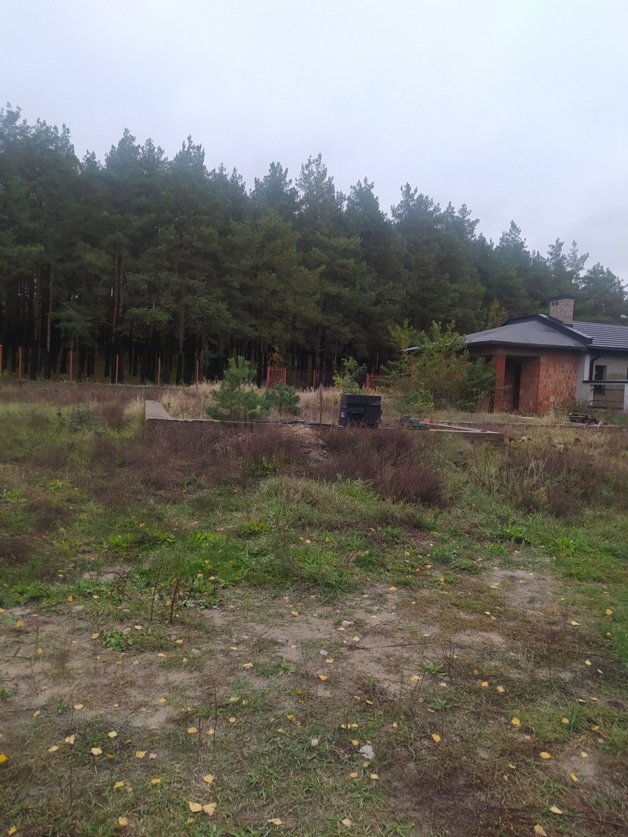 powiat wołomiński, Dąbrówka, urocza działka pod lasem