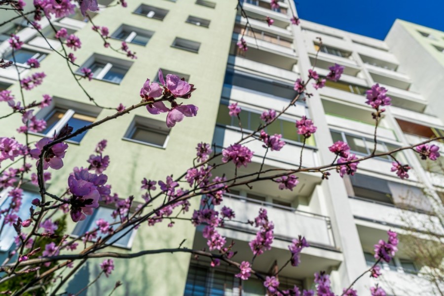 Warszawa, Ursynów, Mieszkanie 3-pokojowe przy ul. Hawajskiej