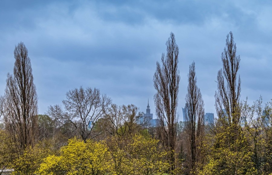 Warszawa, Praga-Północ, Jagiellońska, Do wprowadzenia, z widokiem na ZOO