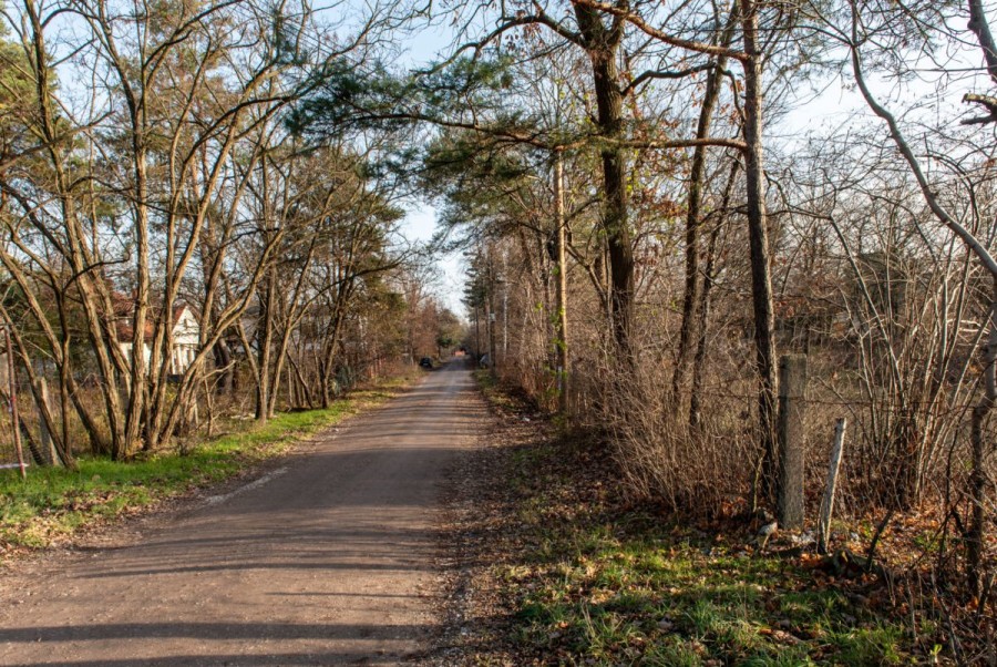 Warszawa, Białołęka Choszczówka, Dwusieczna, Działka z Warunkami Zabudowy na 4 domy