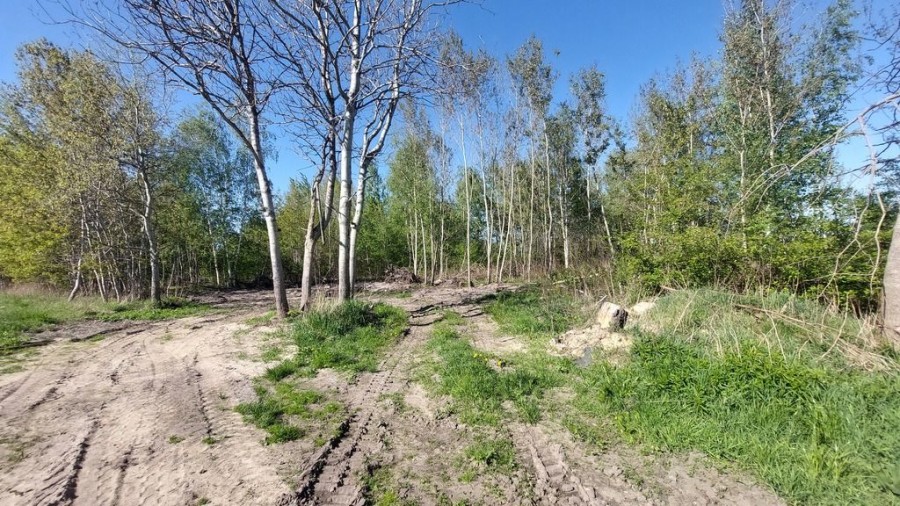 powiat wołomiński, Dybów-Kolonia, Sprawdź >>> Działka inwestycyjna - Najem-3,1Ha