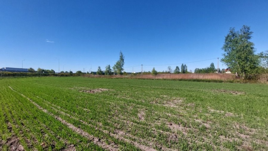powiat wołomiński, Dybów-Kolonia, Sprawdź >>> Działka inwestycyjna - Najem -1,1Ha