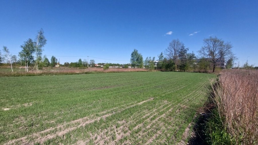 powiat wołomiński, Dybów-Kolonia, Sprawdź >>> Działka inwestycyjna - Najem -1,1Ha