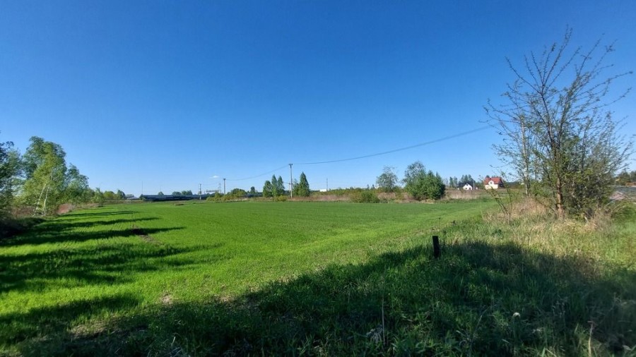 powiat wołomiński, Dybów-Kolonia, Sprawdź >>> Działka inwestycyjna - Najem-1,3Ha