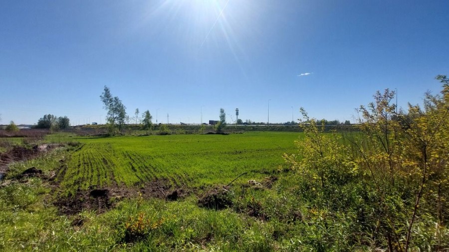 powiat wołomiński, Dybów-Kolonia, Sprawdź >>> Działka inwestycyjna - Najem-1,3Ha