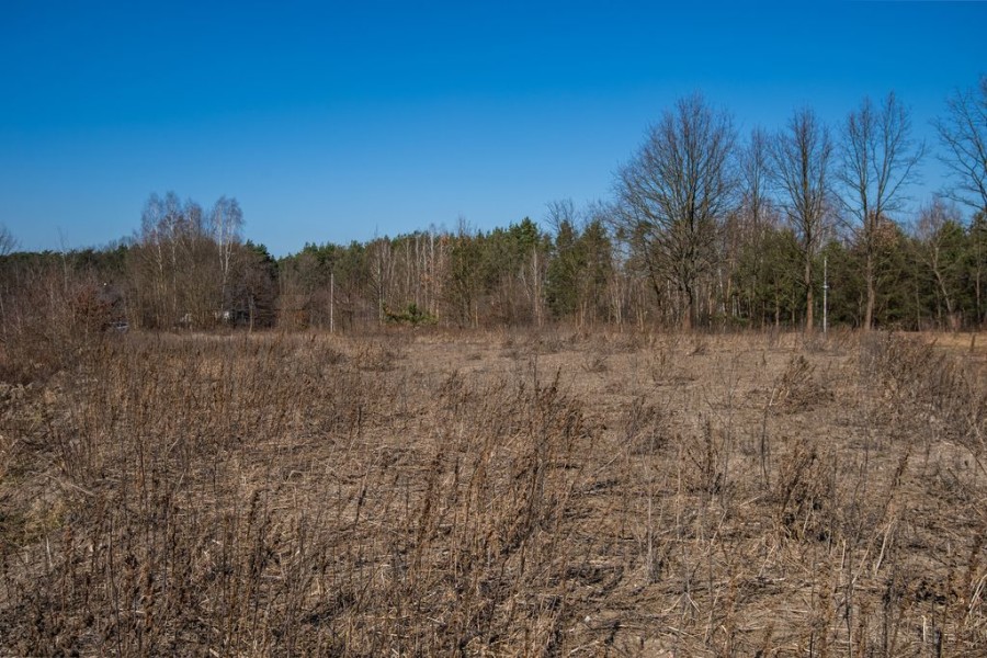 powiat wołomiński, Kołaków, Blisko Warszawy! Działka 1555 m² w super cenie