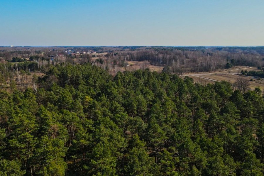powiat wołomiński, Kołaków, Blisko Warszawy! Działka 1555 m² w super cenie