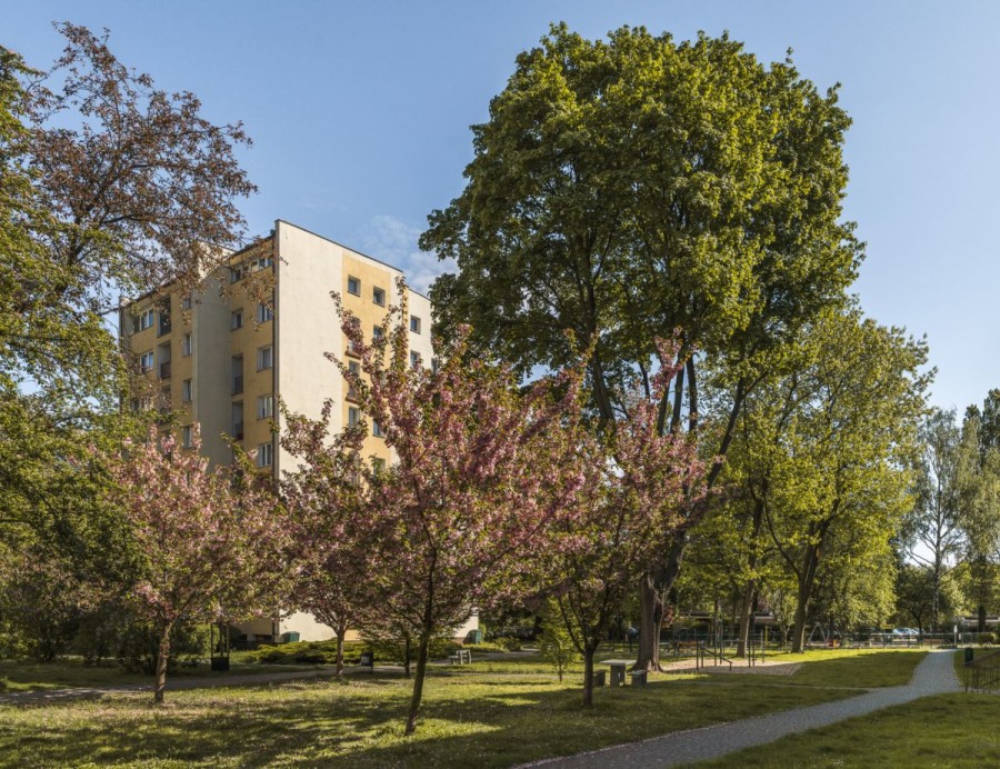 Warszawa, Praga-Południe, Makowska, 2 pokoje częściowy remont