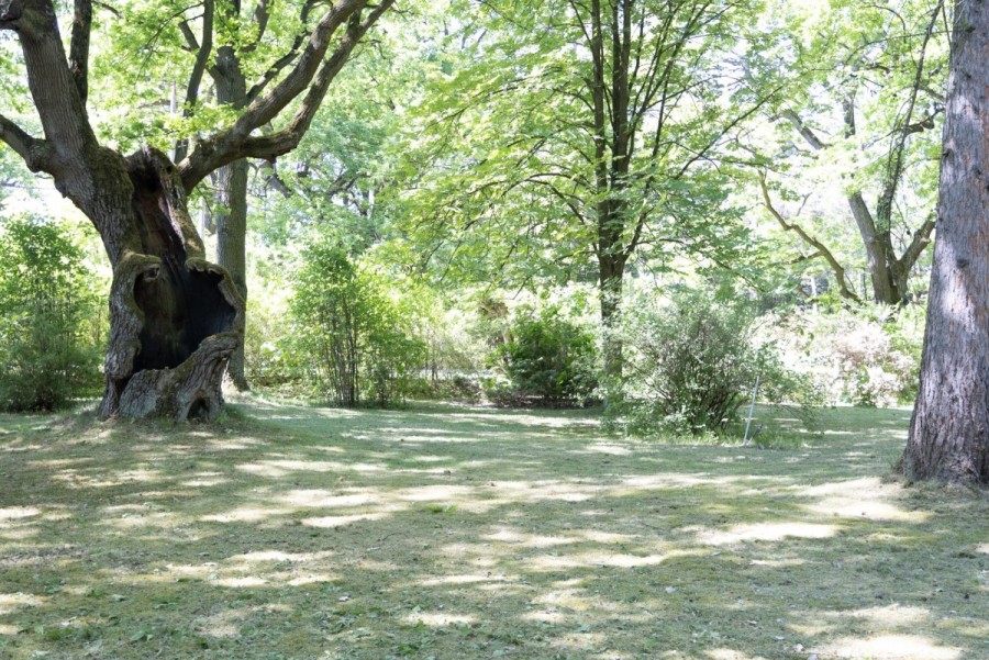 Warszawa, Wawer Nadwiśle, Romantyczna, Rezydencja z ogrodem 12 0000 m² / Wawer