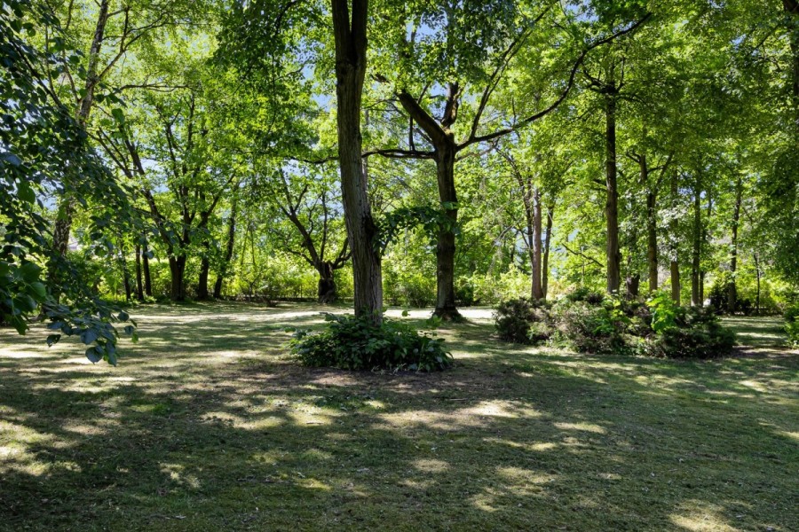 Warszawa, Wawer Nadwiśle, Romantyczna, Rezydencja z ogrodem 12 0000 m² / Wawer