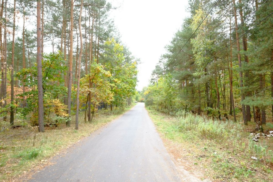 Warszawa, Białołęka Białołęka Dworska, Białołęka Dworska - Urokliwa Mała Działka w Lesie