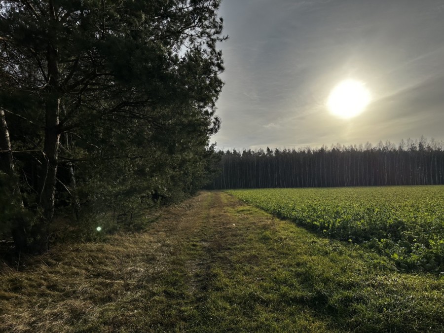 powiat nowodworski, Borkowo, Piękna działka w Borkowie przy ul. Polnej