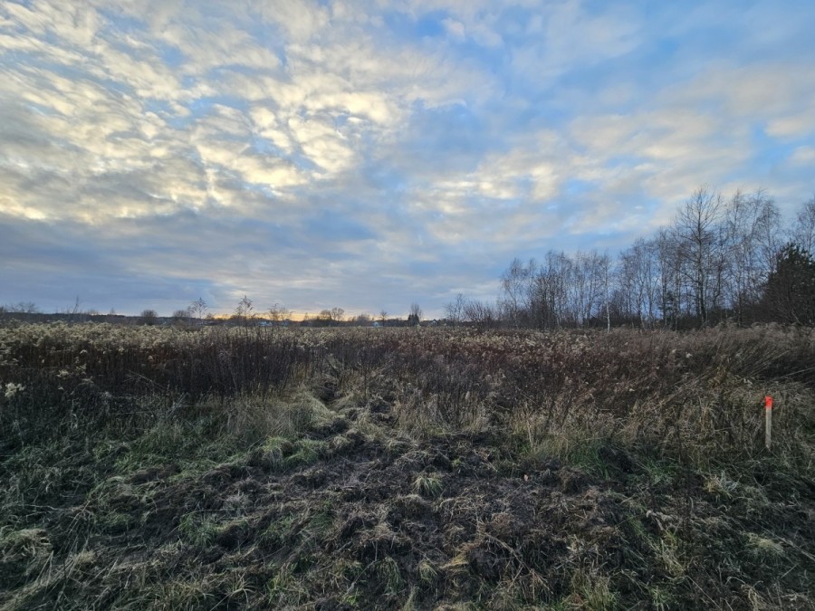 powiat wołomiński, Stare Lipiny, Kwitnąca, Działka nwestycyjna / pod budowę jednorodzinną