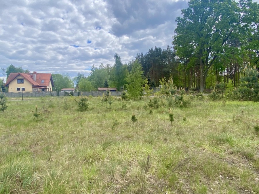 powiat wołomiński, Sieraków, Ekologiczna, Działka przy Puszczy Słupeckiej idealna pod dom