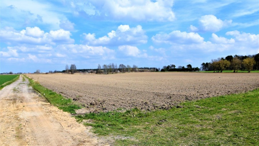 powiat nowodworski, Henrysin, Henrysin, działka budowlana